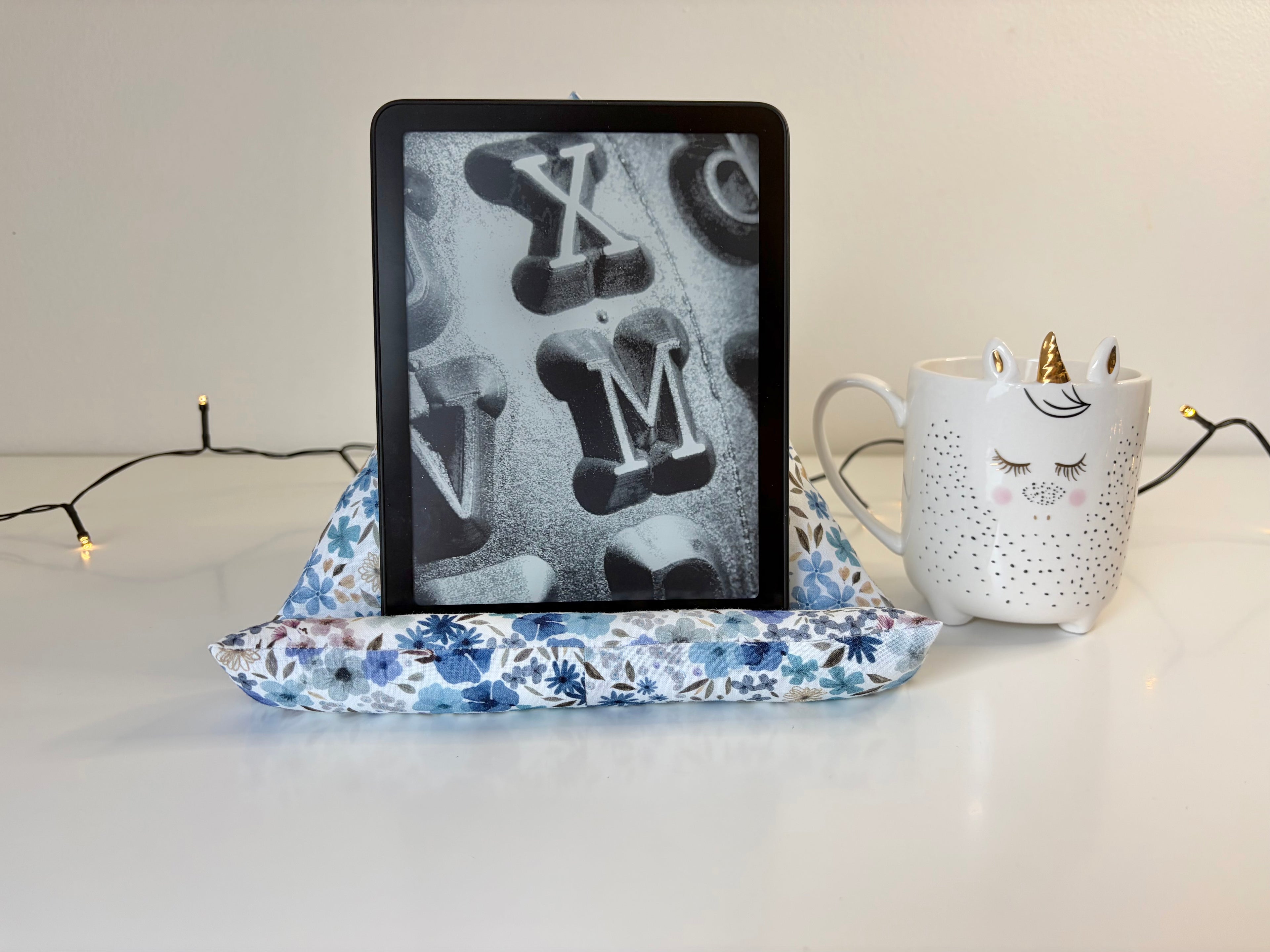 Coussin pour liseuse Bleunéa